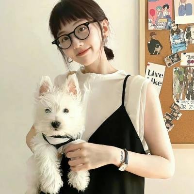 寻找鲸鱼的自行车