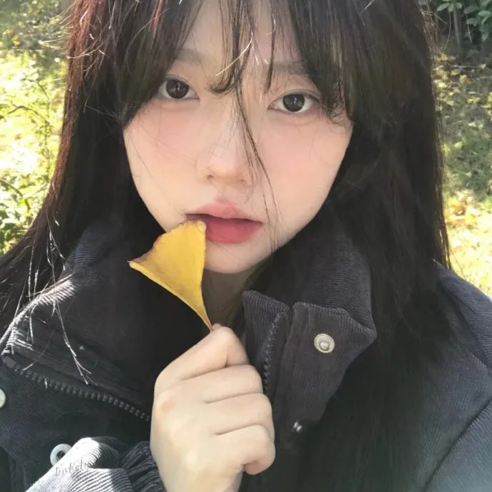 京都太秦物语